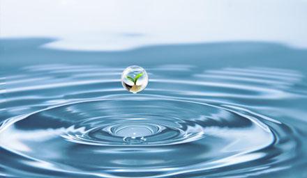 喜報(bào) | 海星股份成功獲評(píng)“江蘇省節(jié)水型企業(yè)”！